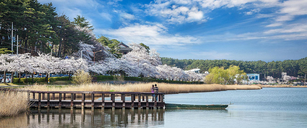 강릉 경포대: 강릉관광개발공사